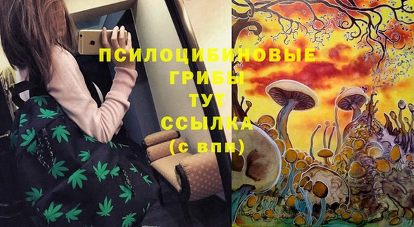 гидропоника Белоозёрский